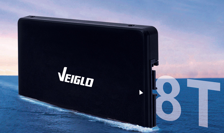 VEIGLO Launches New 8TB SATA SSD